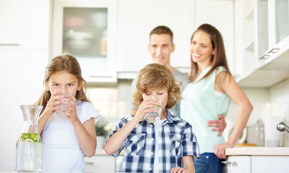 wasserspender2-schmidt-kaffeemaschinen